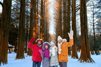 Von Seoul, Nami Island, Korean Garden & Rail Bike Tagesausflug - Hizvo