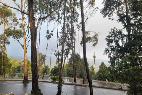 Addis Ababa: Entoto Hills Scenic Drive