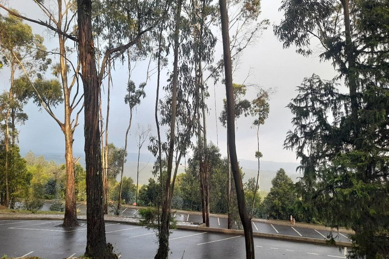 Addis Ababa: Entoto Hills Scenic Drive