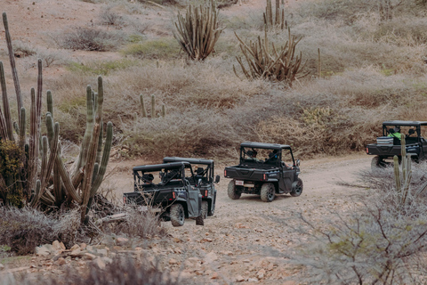 Aruba: UTV Off-Roading Tour and Swim at Arashi Beach