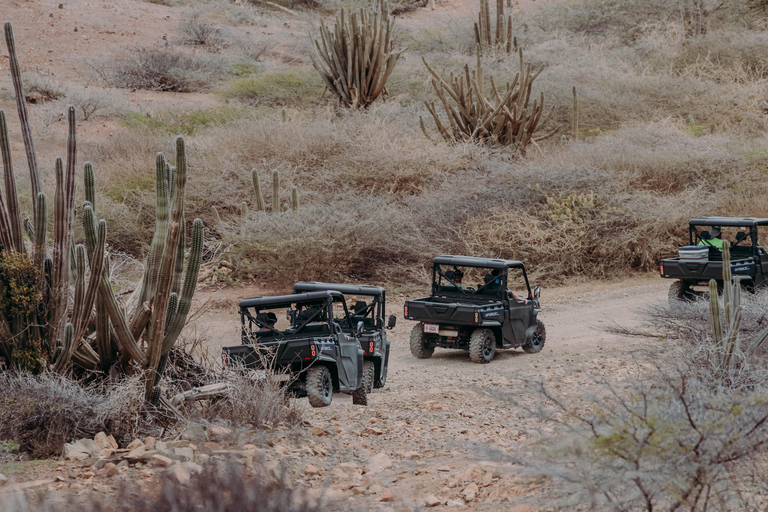 Aruba: UTV Off-Roading Tour and Swim at Arashi Beach