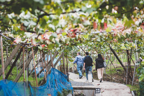 Osaka Wine Walking Tour: Japan’s Oldest Winery Historic Town