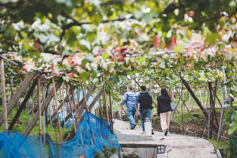 Osaka Wine Walking Tour: Japan’s Oldest Winery Historic Town