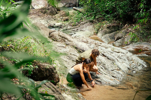 From Khao Lak: ATV & Rafting with Waterfall and Temple Visit From Khao Lak: Rafting 9 km. + ATV + Waterfall + Temple