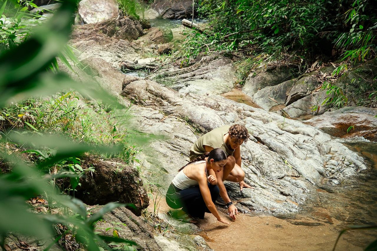 From Khao Lak: ATV & Rafting with Waterfall and Temple Visit From Khao Lak: Rafting 9 km. + ATV + Waterfall + Temple