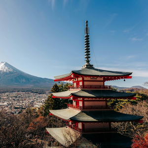 Tokyo: Mt. Fuji Customizable & Private Tour with chauffeur