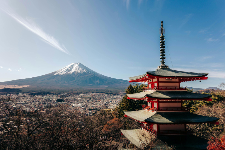 From Tokyo: Mount Fuji Full-Day Customizable & Private Tour Luxury MiniVan (1 upto 6)