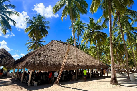 Punta Cana: Saona Island Paradise Catamaran Sightseeing Tour with Lunch and Drinks Punta Cana: Macao Beach and Local Dominican Experience