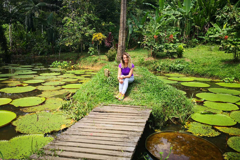 From Leticia: Amazon Jungle Overnight Adventure