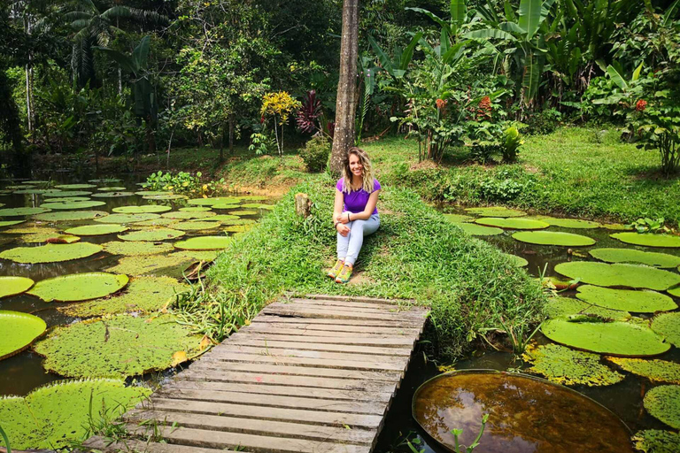 From Leticia: Amazon Jungle Overnight Adventure