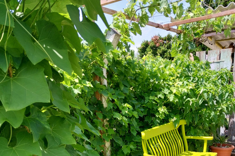 Kusadası: Countryside Tour with Lunch and Drinks