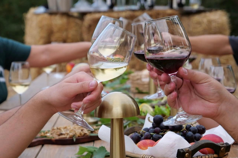 Albanian Wine &amp; Raki Tasting Experience at Hani i Qerosit