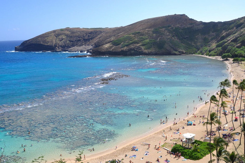 Oahu: North Shore and Pineapple Plantation Sightseeing Tour Oahu: North Shore Beach and Hanauma Sightseeing Tour