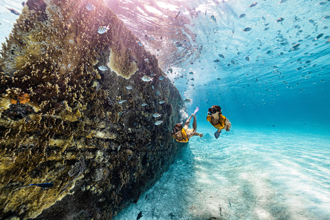 Experiência de barco 5 em 1 para mergulho com snorkel em Cancún