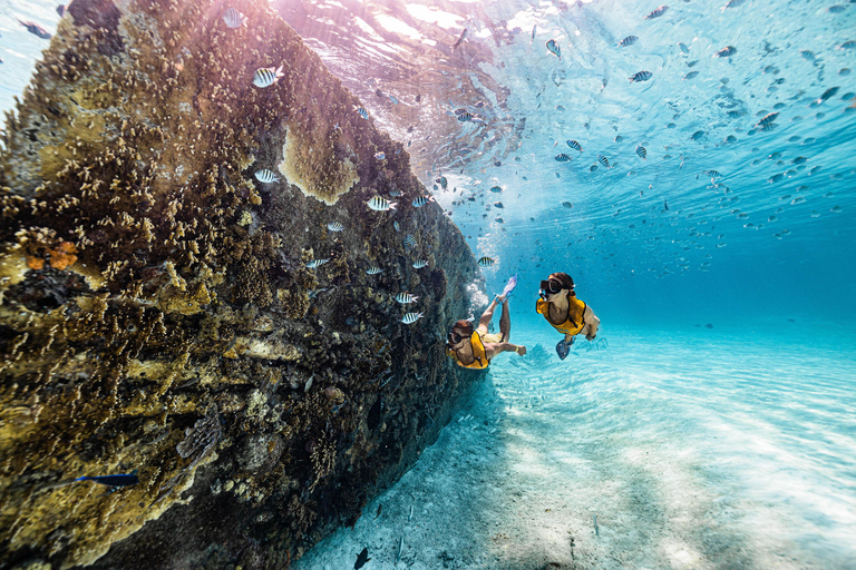 Experiencia en barco de snorkel 5 en 1 en Cancún