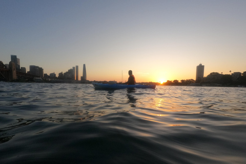 Sydney: Sunset Kayak - Opera & Harbour Bridge Tour (5p. max)