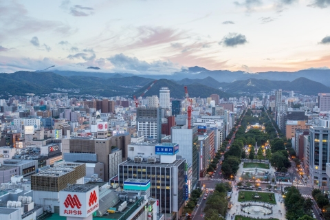Sapporo Highlights: Art, Nature, and Architecture Tour