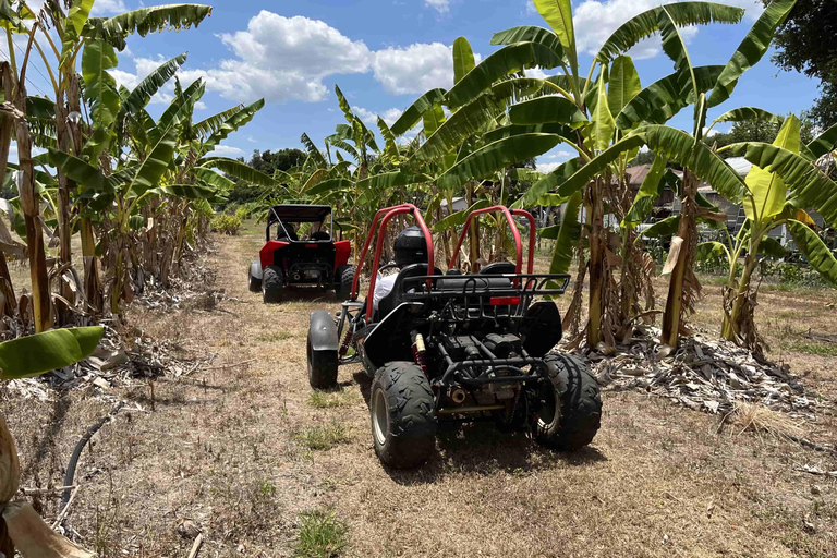 Bamboo Dune Buggy Tour