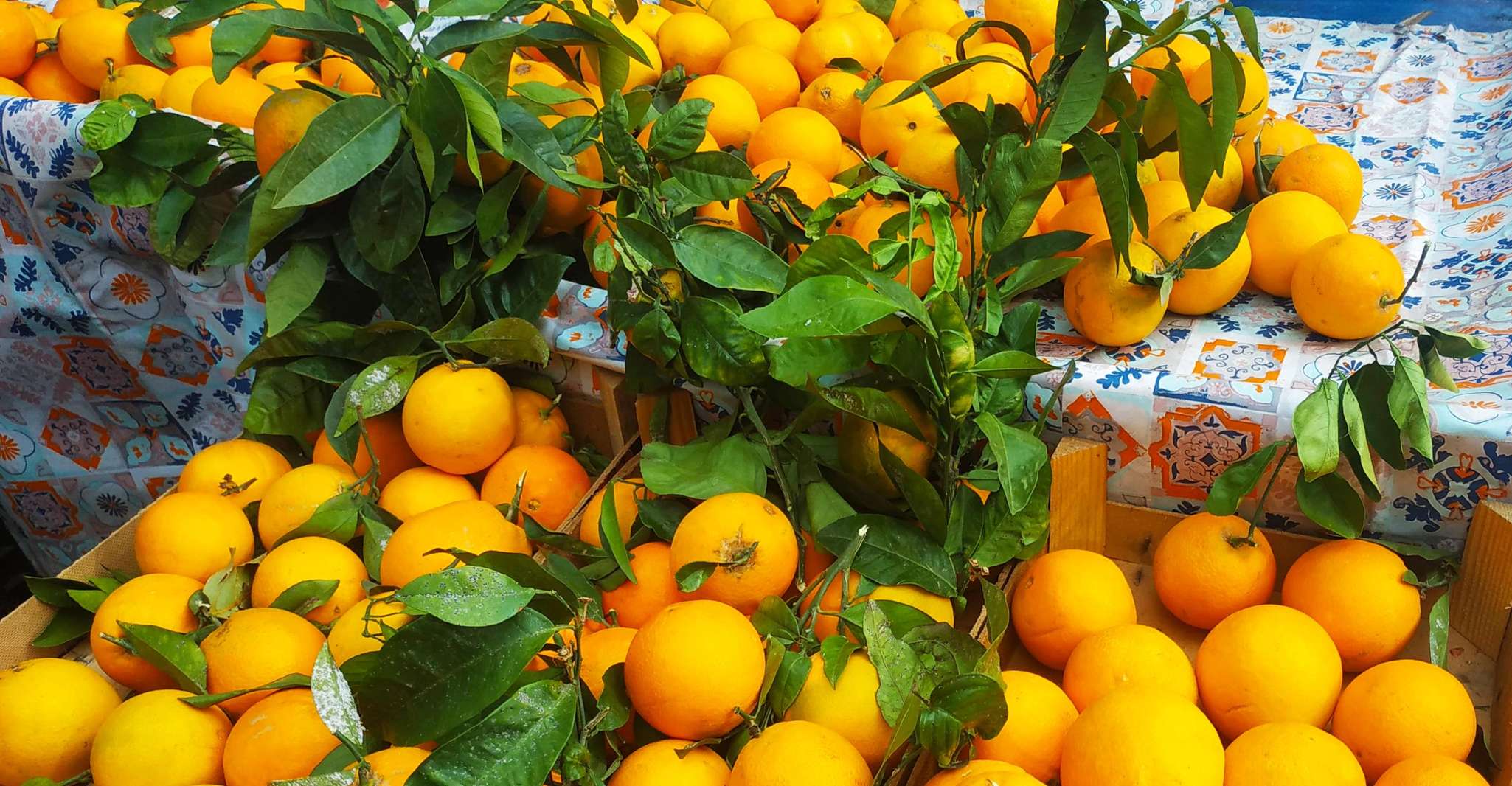 Paseo a pie por Palermo, Street Food, Market y City Center - Hizvo