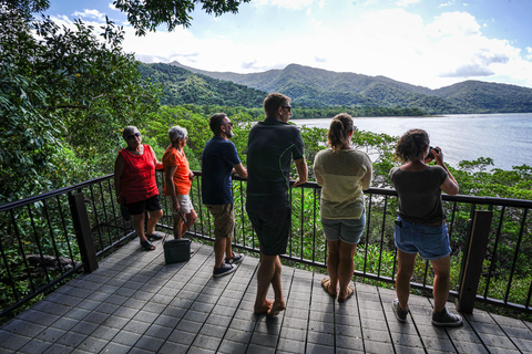 Depuis Port Douglas : Expérience totale de la Daintree en petit groupePort Douglas : Expérience totale de la Daintree en petit groupe