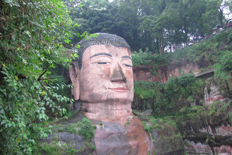 熊猫基地/乐山大佛/多景点之旅乐山大佛风景区和熊猫基地一日旅行