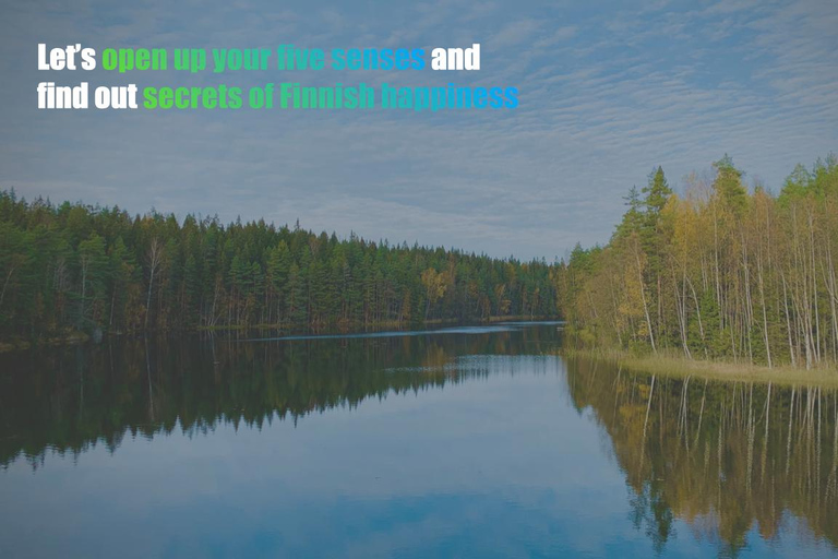 Awakening five senses in Finnish Nature (+traditional sauna)