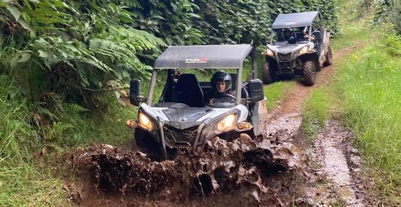 Madeira: Off-Road Buggy Driving Experience