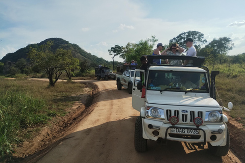 Sigiriya; Minneriya Elephant Safari & Village tour Minneriya Elephant Safari; Habrana/Sigiriya