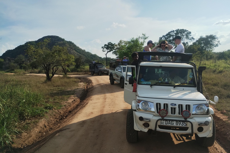 Sigiriya; Minneriya Elephant Safari & Village tour Minneriya Elephant Safari; Habrana/Sigiriya