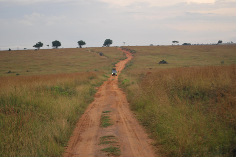 3-Day Best of Uganda Big5 Safari Tour in Murchison Falls NP