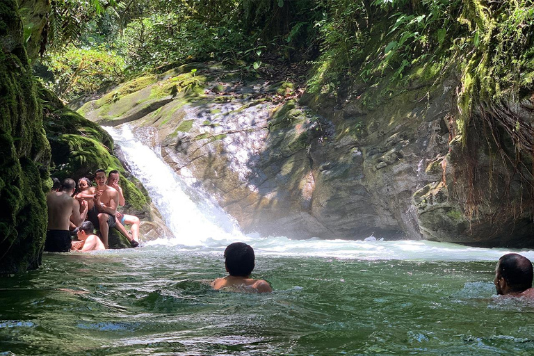 Soqtapata : 3 jours tout compris, expériences et circuit en AmazonieSoqtapata : 3 jours tout compris, expériences et visite de l&#039;Amazonie
