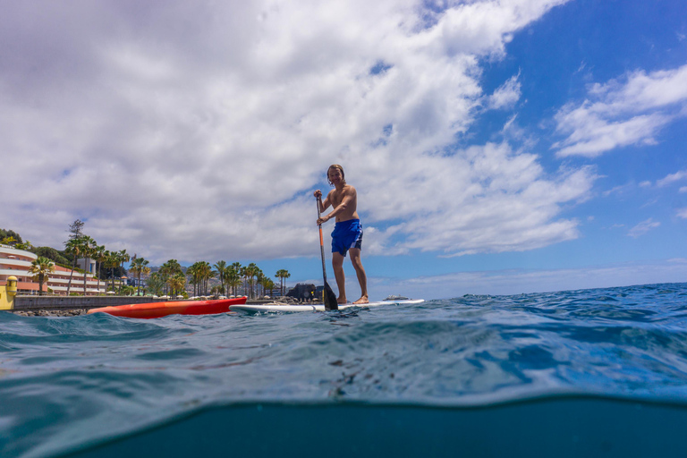 Funchal: Aluguel de SUP ou tour guiado com snorkelSOMENTE ALUGUEL DE SUP com mergulho com snorkel