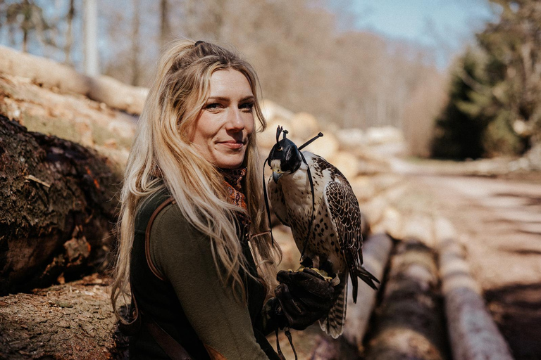 Ruhla: bilhete para um espetáculo aéreo com águias, corujas e muito mais.Ruhla: Bilhete para um show aéreo com águias, corujas e outros animais