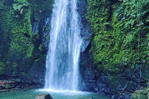 Ubud: Foresta delle scimmie, terrazze di riso, tempio e cascata PetanuUbud: Foresta delle scimmie, terrazze di riso, tempio e cascata di Petanu