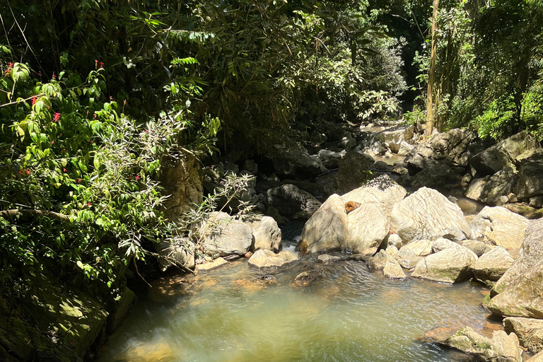 Caguas : Aventure dans les cascades et les grottes