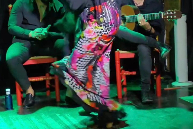 Santa Pola Historical and Landscape and Flamenco with Show and Dinner