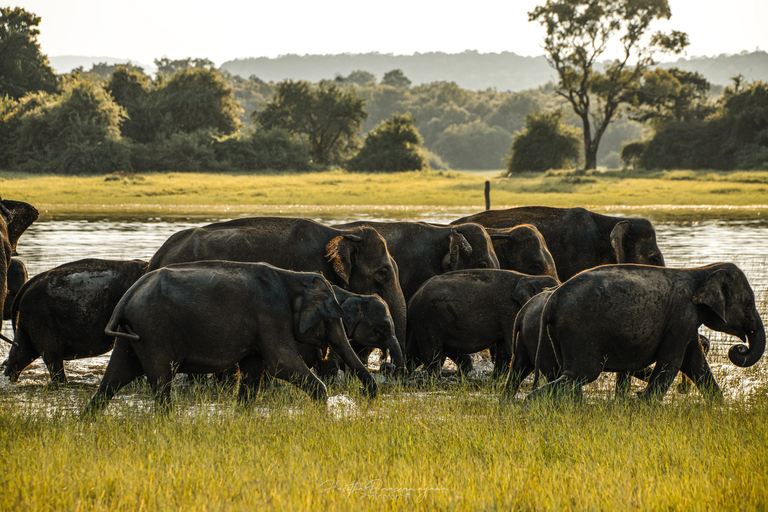 Sigiriya Rock Hike, Village Cookery Experience & Wild Safari