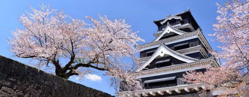 Kumamoto: Castle Admission Ticket