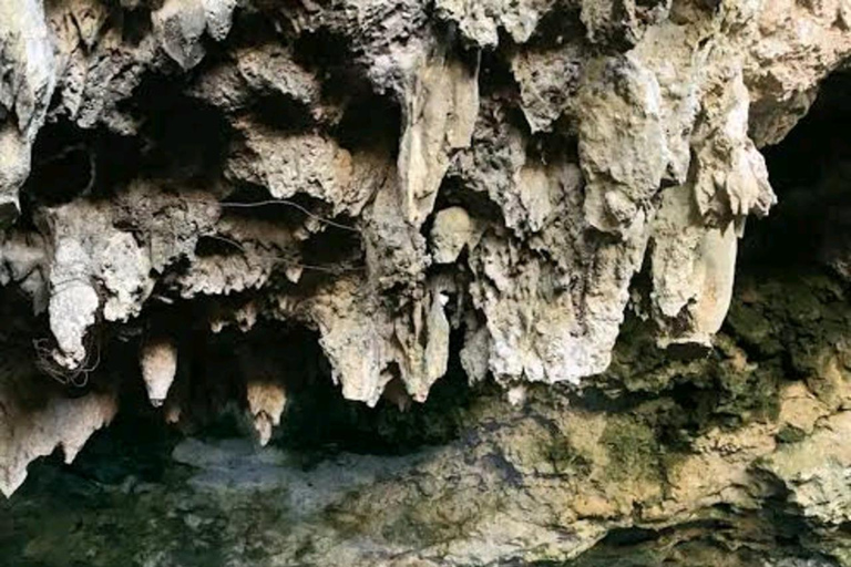 Sansibar: Kokosnussplantage, Reisfarm und Höhlentour