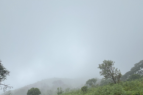 Coorg: Tadiandamol Trek Guided Tour