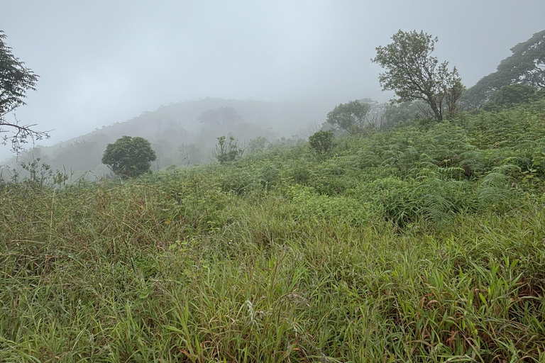 Coorg: Tadiandamol Trek Guided Tour