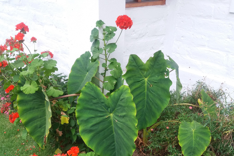 Quito: Cooking class In-home space