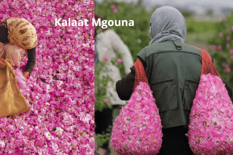 From Marrakech: 3-Days Merzouga Sahara Desert & Luxury Camp Merzouga Sahara Desert Tour with Private Luxury Tent