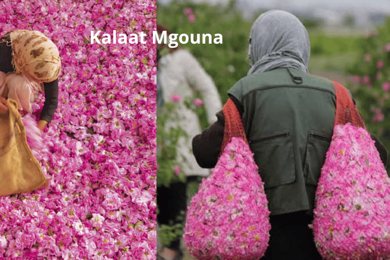 From Marrakech: 3-Days Merzouga Sahara Desert & Luxury Camp Merzouga Sahara Desert Tour with Private Luxury Tent