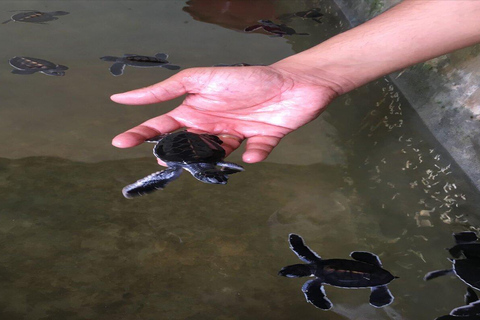 Tour di un giorno a Galle, Bentota e Madu River SafariPick up da Bentota Kalutara Kosgoda Ahungalla Balapitiya