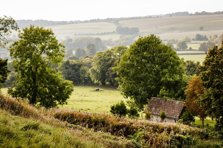 Salisbury : Old Sarum billet d'entréeSalisbury : Old Sarum Family Ticket avec 1 seul adulte