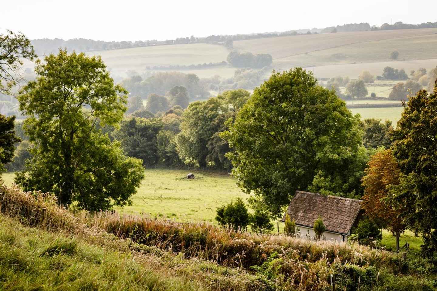 Salisbury: Old Sarum Entry Ticket
