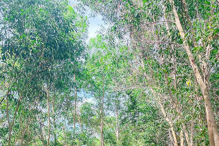 Hoi An: avventura in quad ATV e massaggio spa di lusso in un hotel a 4 stelleAvventura in quad - Pick up a Danang - Pranzo - Nessun massaggio