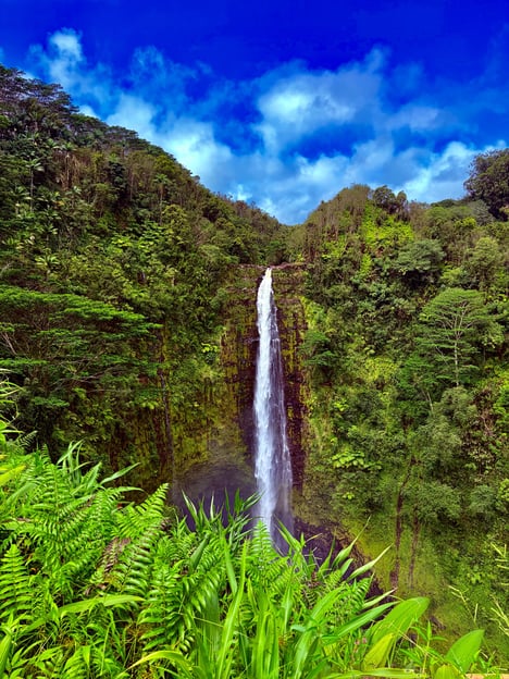 The Pele Express HONU &amp; HILO: Turtles &amp; Waterfalls Tour