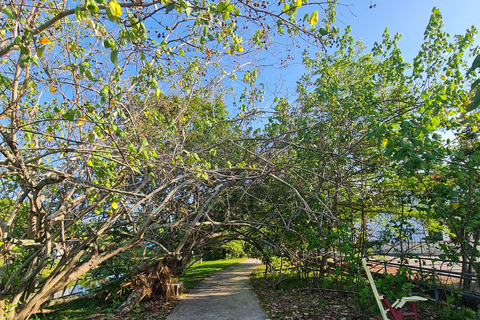 Penang: Cameron Highlands Tour